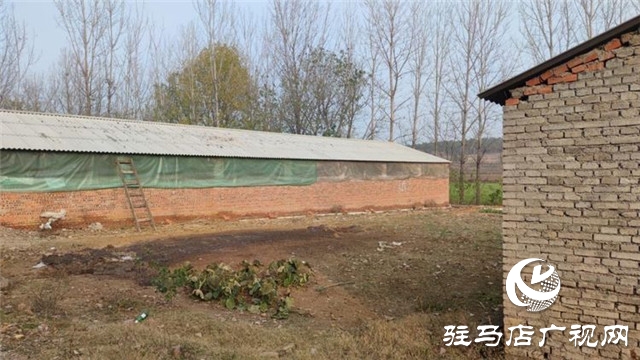 重獲&ldquo;新生&rdquo;，泌陽縣下碑寺鄉(xiāng)曹莊村貧困戶養(yǎng)豬走出致富路