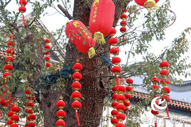 駐馬店:張燈結彩年味濃 年貨市場迎春忙