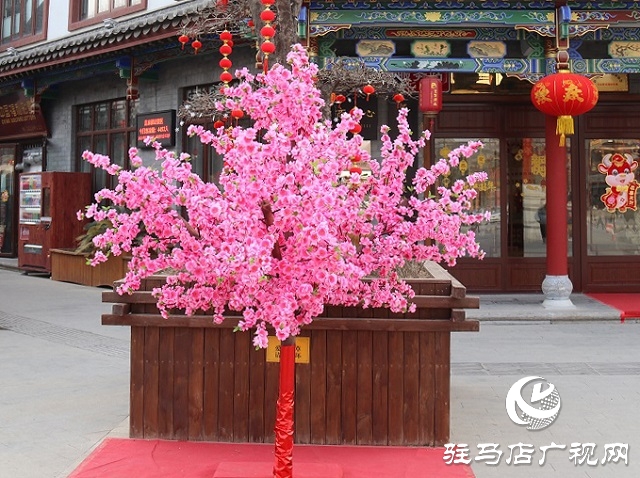 駐馬店:張燈結彩年味濃 年貨市場迎春忙