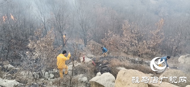 山火來襲 情況緊急 華潤(rùn)風(fēng)能迅速撲滅