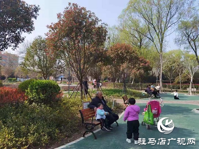 駐馬店:陽春三月至 花開春意濃