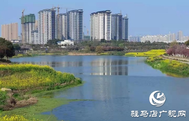 駐馬店:陽春三月至 花開春意濃