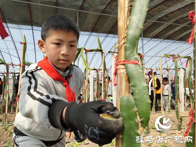 關(guān)愛(ài)留守兒童 傳遞社會(huì)溫暖