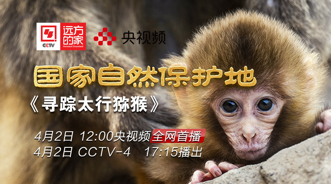 今天17:15分鎖定CCTV4！濟(jì)源登上央視《遠(yuǎn)方的家》