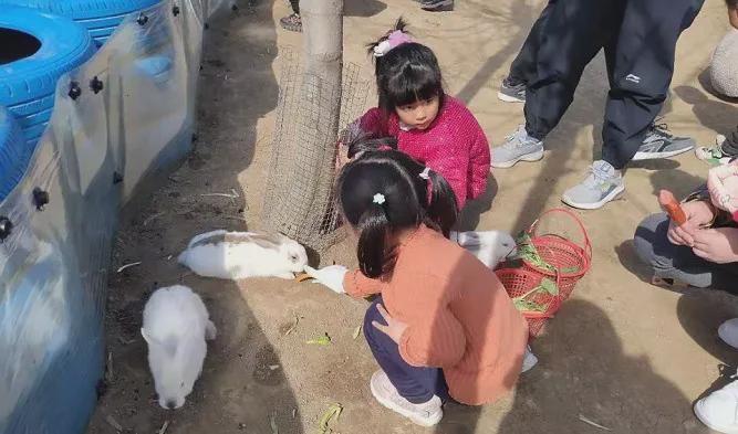 五一假期，世外桃源千人泡沫大狂歡！門票免費(fèi)送，等你來！