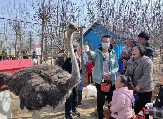 五一假期，世外桃源千人泡沫大狂歡！門票免費(fèi)送，等你來！