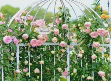 五一假期，世外桃源千人泡沫大狂歡！門票免費(fèi)送，等你來(lái)！