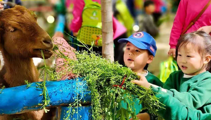 五一假期，世外桃源千人泡沫大狂歡！門票免費(fèi)送，等你來(lái)！