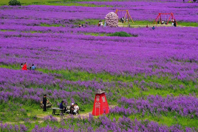 &ldquo;五一&rdquo;小長假駐馬店市文化旅游市場安全運行 實現旅游綜合收入21.6億元