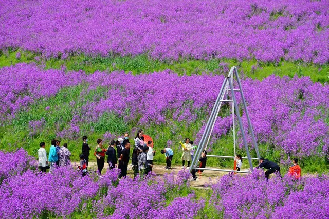 &ldquo;五一&rdquo;小長假駐馬店市文化旅游市場安全運行 實現旅游綜合收入21.6億元