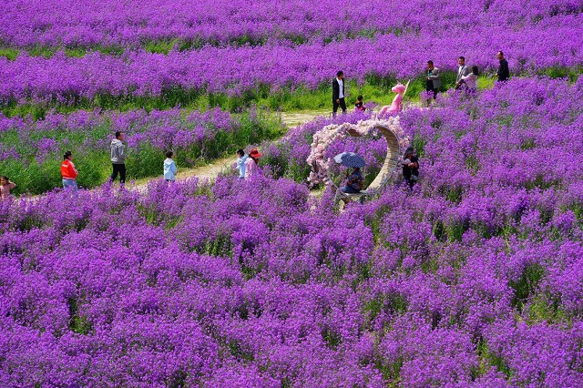 &ldquo;五一&rdquo;小長假駐馬店市文化旅游市場安全運行 實現旅游綜合收入21.6億元