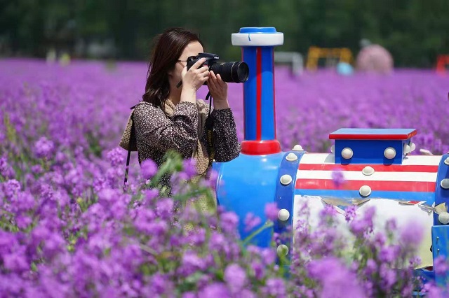 &ldquo;五一&rdquo;小長假駐馬店市文化旅游市場安全運行 實現旅游綜合收入21.6億元