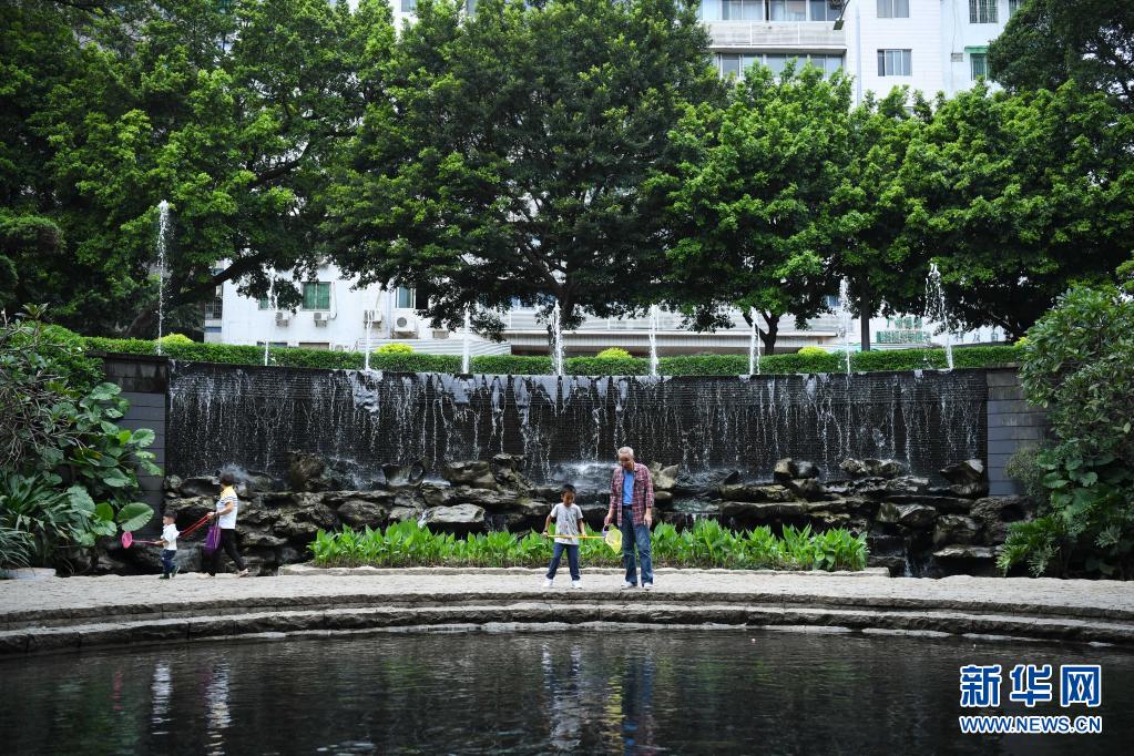 潮涌珠江，聽總書記與大灣區(qū)的故事