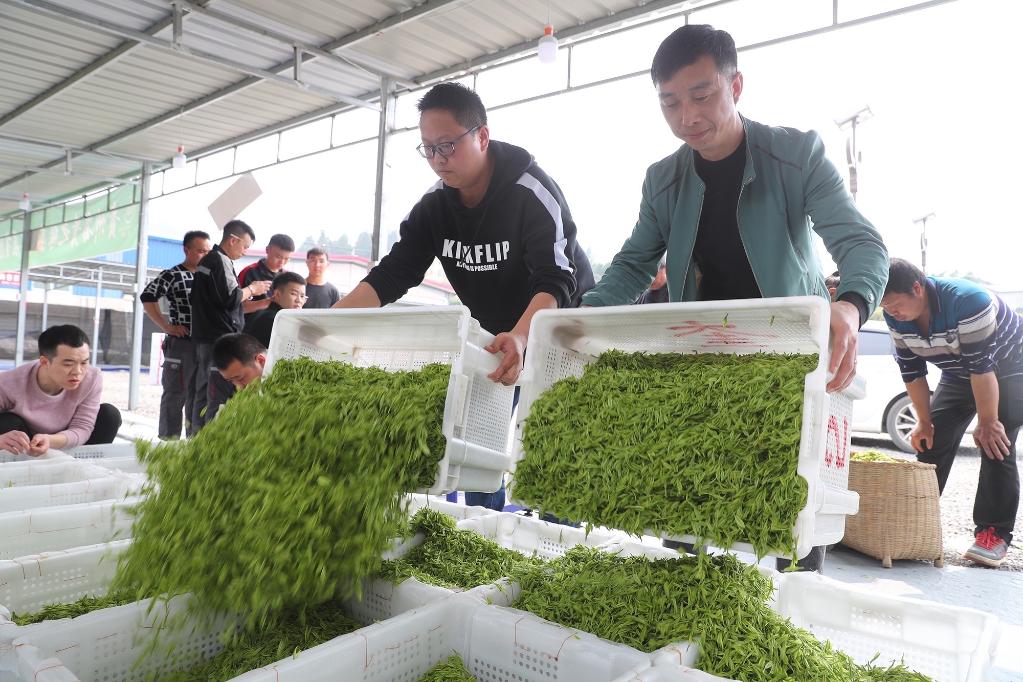 “轉折之城”，滿滿“轉折之志”  ——習近平總書記到過的紅色圣地之貴州篇