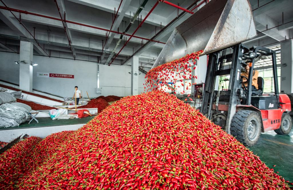 “轉折之城”，滿滿“轉折之志”  ——習近平總書記到過的紅色圣地之貴州篇