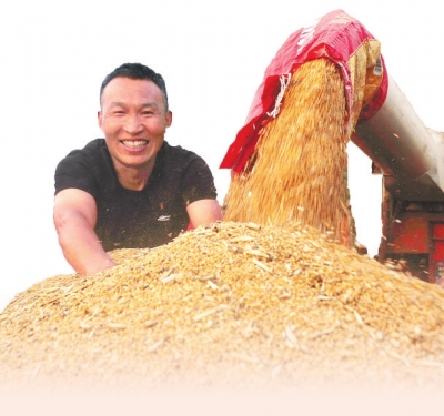 夏糧一天不到手 工作一天不放松&mdash;&mdash;三論弘揚脫貧攻堅精神走好新時代新征程