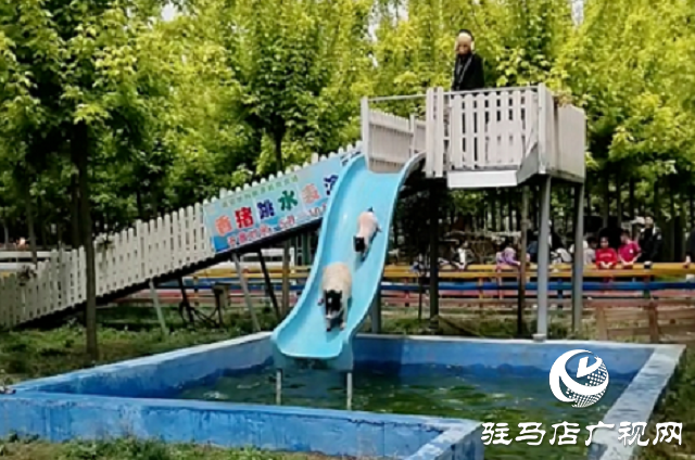 這個(gè)端午世外桃源門票免費(fèi)送！門票還包含水上樂(lè)園！