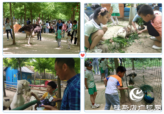 這個(gè)端午世外桃源門票免費(fèi)送！門票還包含水上樂(lè)園！