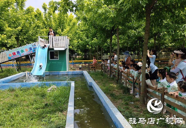 這個(gè)端午世外桃源門票免費(fèi)送！門票還包含水上樂(lè)園！