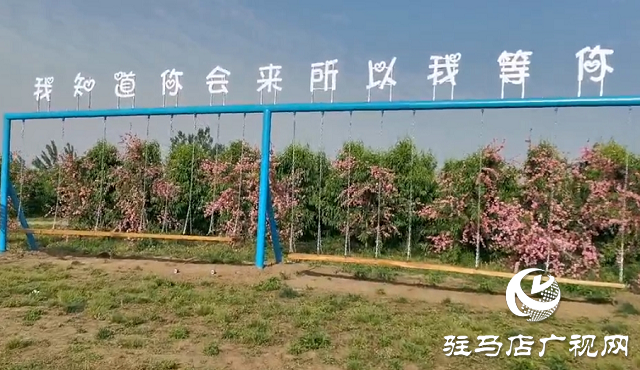 這個(gè)端午世外桃源門票免費(fèi)送！門票還包含水上樂(lè)園！