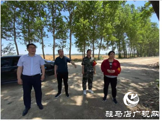 西平縣柏城街道開(kāi)展三夏生產(chǎn)暨秸稈禁燒工作