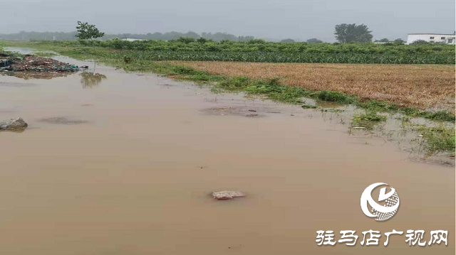 驛城區(qū)熱線辦積極協(xié)調(diào) 農(nóng)田積水引入溝渠