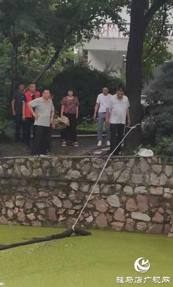 駐馬店市中心城區(qū)相關(guān)部門(mén)迅速行動(dòng)排澇除險(xiǎn)