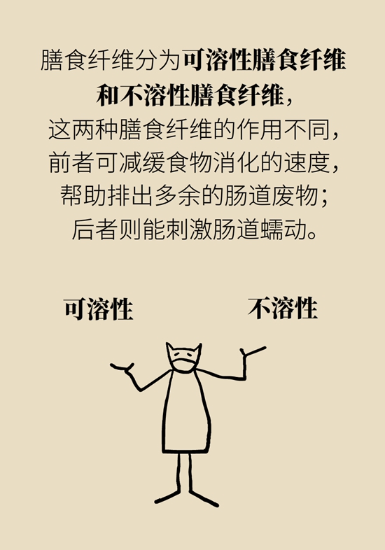 真的有越吃越瘦的食物？這些高纖維食物了解一下