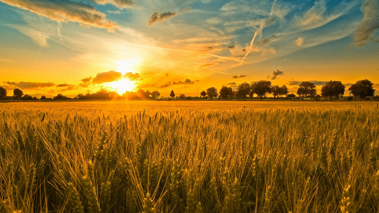 駐馬店市80后農業(yè)追夢人黃磊入圍“全國十佳農民”