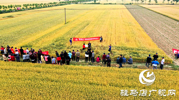 重磅！麥熟寶，驚艷亮相！2020年北沃農(nóng)業(yè)再出大招！