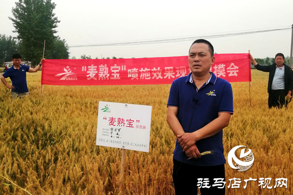 重磅！麥熟寶，驚艷亮相！2020年北沃農(nóng)業(yè)再出大招！