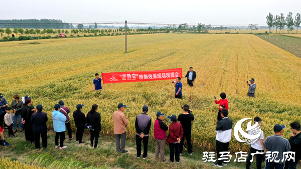 重磅！麥熟寶，驚艷亮相！2020年北沃農(nóng)業(yè)再出大招！