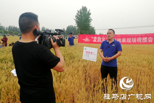 重磅！麥熟寶，驚艷亮相！2020年北沃農(nóng)業(yè)再出大招！