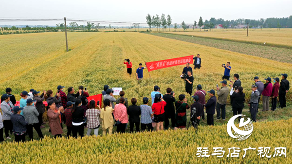 重磅！麥熟寶，驚艷亮相！2020年北沃農(nóng)業(yè)再出大招！