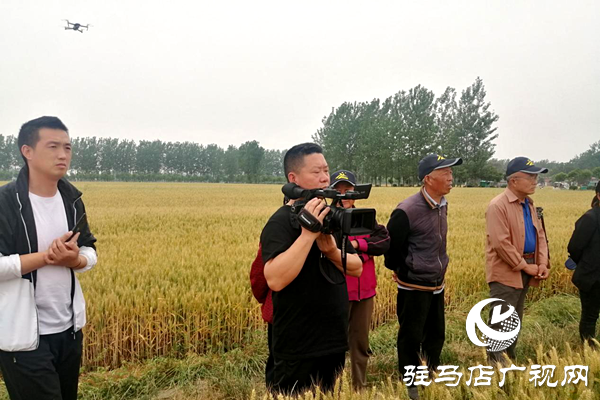 重磅！麥熟寶，驚艷亮相！2020年北沃農(nóng)業(yè)再出大招！