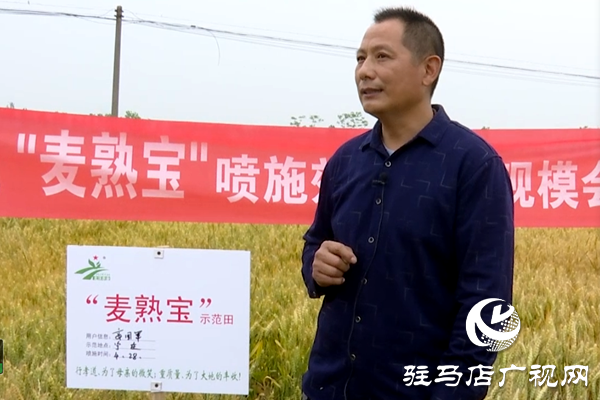 重磅！麥熟寶，驚艷亮相！2020年北沃農(nóng)業(yè)再出大招！