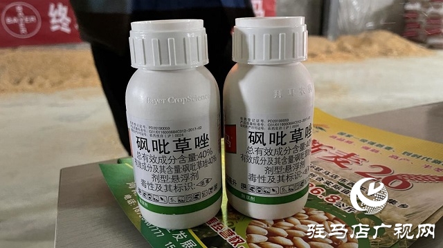 華夏種植合作社成功召開(kāi)多花黑麥草除草培訓(xùn)會(huì)