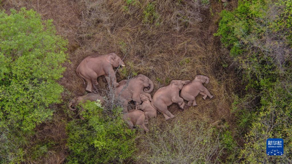 為了萬(wàn)物和諧的美麗家園——習(xí)近平生態(tài)文明思想的世界啟示