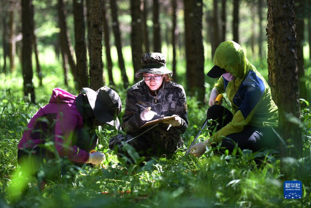 為了萬(wàn)物和諧的美麗家園——習(xí)近平生態(tài)文明思想的世界啟示