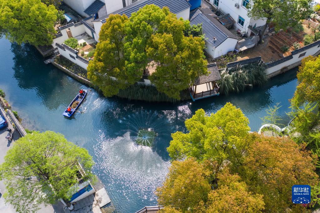 為了萬(wàn)物和諧的美麗家園——習(xí)近平生態(tài)文明思想的世界啟示