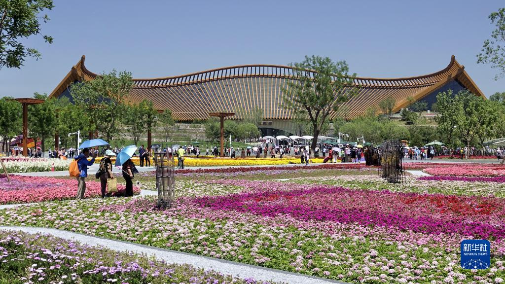 為了萬(wàn)物和諧的美麗家園——習(xí)近平生態(tài)文明思想的世界啟示