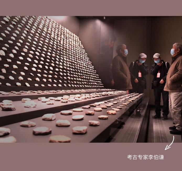 新華全媒+PLOG丨史前先民的“花花”世界，我沉迷了……