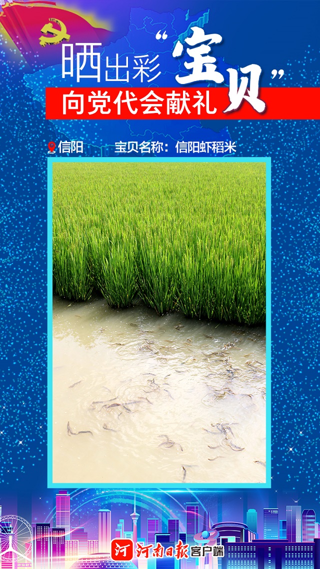 海報 | 曬出彩“寶貝” 向黨代會獻(xiàn)禮 信陽“寶貝”茶、油、稻
