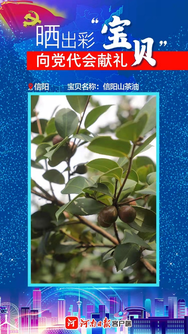 海報 | 曬出彩“寶貝” 向黨代會獻(xiàn)禮 信陽“寶貝”茶、油、稻