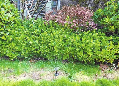 鄭州智能小區(qū)有多&ldquo;聰明&rdquo; 攝像頭、噴灌裝置、門禁都會&ldquo;思考&rdquo;啦