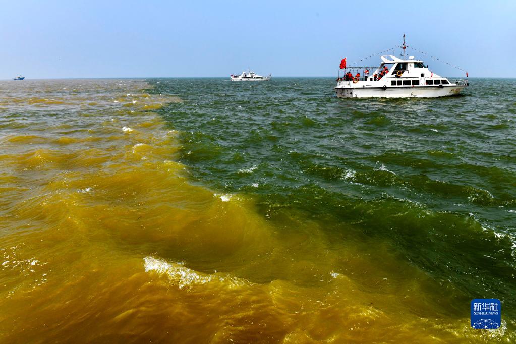 大河奔涌，奏響新時代澎湃樂章——習近平總書記考察黃河入?？诓⒅鞒终匍_深入推動黃河流域生態(tài)保護和高質(zhì)量發(fā)展座談會紀實