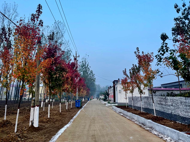 平輿縣玉皇廟鄉(xiāng)大力開(kāi)展人居環(huán)境整治