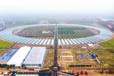 種業(yè)博覽會(huì)看上的瓜果蔬菜 走，隔壁地里有現(xiàn)貨