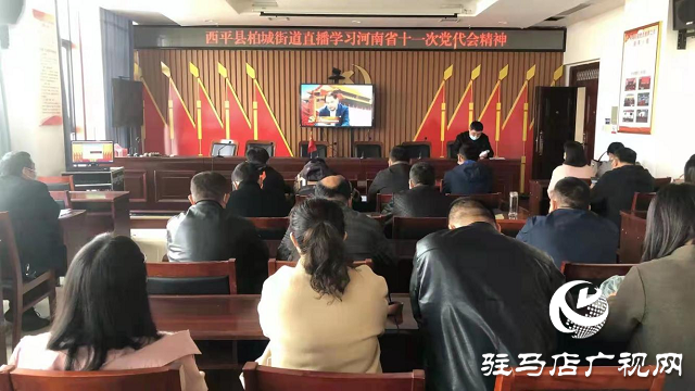 駐馬店持續(xù)辦好遠程教育&ldquo;直播課堂&rdquo;10萬余名農(nóng)村黨員線上共學省十一次黨代會精神