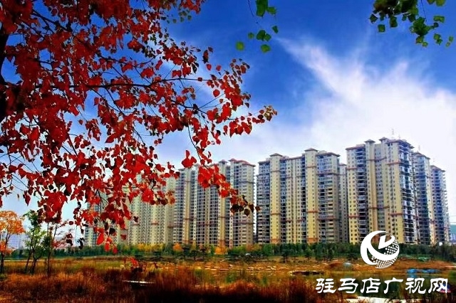 冬日初始時(shí) 暖陽(yáng)耀天中